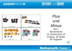 Plus und Minus ZR 20 Teil 1.pdf